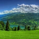Green Scene