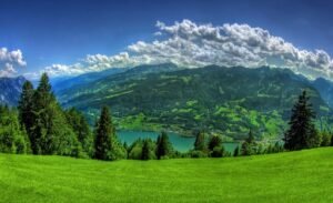 Green Scene