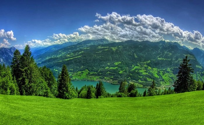 Green Scene
